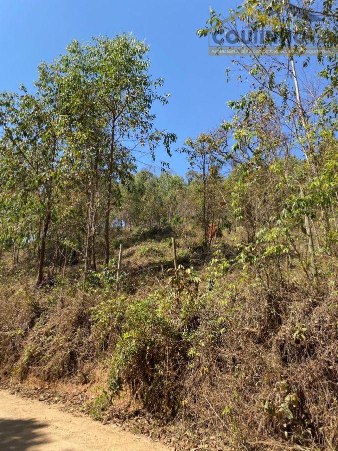 WhatsApp Image 2025-09-12 at 11.33.23 (2).jpeg